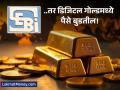 डिजिटल गोल्डमध्ये गुंतवणूक करताय? सावधान! 'या' चुका केल्यास तुमचे पैसे बुडतील; SEBI चा इशारा! - Marathi News | SEBI Warning Digital Gold Investment is Unregulated; Avoid These Platform Mistakes | Latest business News at Lokmat.com