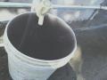 नागरिकांच्या जिवाशी खेळ! दुर्गंधीयुक्त पाण्याचा होतोय पुरवठा - Marathi News | Unclean water supply to deepsevak society in Kolhapur | Latest kolhapur News at Lokmat.com