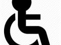 दिव्यांगांना प्रथम प्राधान्याने मतदानाची संधी - Marathi News | Disable person will get first priority for voting | Latest buldhana News at Lokmat.com