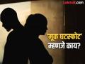ना शारीरिक, ना भावनिक बंध;एकाच छताखाली जोडपी राहतात ‘मूक घटस्फोट’ घेतल्यासारखी - Marathi News | pune news couples living under the same roof are like having a silent divorce | Latest pune News at Lokmat.com