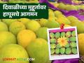 यंदा दिवाळीच्या लक्ष्मीपूजनालाच देवगड हापूस वाशी बाजारात दाखल; पेटीला मिळणार विक्रमी भाव - Marathi News | Devgad Hapus has been launched in the Vashi market just in time for Diwali Lakshmi Puja this year; the box will fetch a record price | Latest agriculture News at Lokmat.com