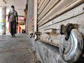CoronaVirus News: राज्यातील लॉकडाउन टप्प्याटप्प्याने हटवणार; कोरोनाबाधितांच्या संख्येत मोठी वाढ होण्याची शक्यता - Marathi News | CoronaVirus News: Lockdown in the state to be phased out | Latest mumbai News at Lokmat.com