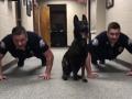 पोलिसांना पुशअप्स मारताना पाहून कुत्र्यालाही राहवलं नाही - Marathi News | Dog doing push-ups with police officers | Latest jarahatke News at Lokmat.com