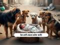 चमत्कार! कडाक्याच्या थंडीत निर्दयी आईने रस्त्यावर फेकलं, भटक्या कुत्र्यांनी नवजात बाळाला वाचवलं - Marathi News | stray dogs saved newborn baby life in nadia district Bengal | Latest national News at Lokmat.com