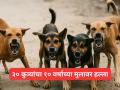 भयानक घटना! १० वर्षांच्या मुलावर ३० हून अधिक कुत्र्यांचा हल्ला, उपचार सुरू - Marathi News | Karnataka: Stray dogs attack 10-year-old boy in Chikkaballapur | Latest national News at Lokmat.com