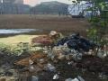 क्रीडासंकुलात घाणीचे साम्राज्य, केडीएमसीचे दुर्लक्ष, मनसेचे अनोखे आंदोलन - Marathi News | Dirt Capital of Sports, Neglect KDMC, MNS's Unique Movement | Latest thane News at Lokmat.com