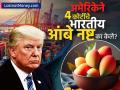 अमेरिकेने ४ कोटी रुपये किमतीचे भारतीय आंबे का नष्ट केले? एक चूक सर्वांना महागात पडली - Marathi News | Why did America destroy Indian mangoes worth Rs 4 crore? A mistake cost everyone dearly | Latest business News at Lokmat.com