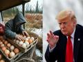 ट्रम्प यांचे टेरिफ वॉर लोकांना 'महागाई'त बुडविणार; अमेरिकेत अंड्यांची तस्करी ड्रग्सपेक्षाही वाढली, पहा किती आहे दर...  - Marathi News | Donald Trump's tariff war will plunge people into 'inflation'; Egg smuggling in America has increased more than drugs, see what the rate is... | Latest international News at Lokmat.com