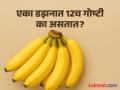 एका डझनात नेहमी 12च वस्तू का असतात, 10 किंवा 11 का नाही? समजून घ्या यामागचं गणित - Marathi News | Why is 12 of Something Called “a Dozen”? Know the history and logic | Latest jarahatke News at Lokmat.com