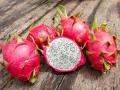 ड्रॅगन फ्रुटचे 'हे' फायदे तुम्हाला माहीत आहेत का? - Marathi News | health benefits of dragon fruits | Latest food News at Lokmat.com