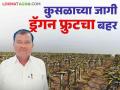 पहिल्या वर्षी खर्च पण दुसऱ्या वर्षी फायदा शेतकरी बिरा यांच्या साडेपाच एकरावरील ड्रॅगन फ्रुटची किमया - Marathi News | Cost in the first year but profit in the second year Farmer Bira cultivated dragon fruit on five and a half acres | Latest agriculture News at Lokmat.com