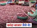 सोलापूर कांदा मार्केटला पुन्हा दर खाली आले, लासलगाव मार्केटमध्ये काय दर मिळाला?  - Marathi News | Latest news Kanda Bajarbhav Onion prices down again in solapur see lasalgaon kanda market | Latest agriculture News at Lokmat.com