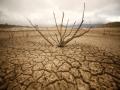 पुरंदर तालुक्यावर भीषण दुष्काळाचे संकट - Marathi News | The severe drought crisis at Purandhar taluka | Latest pune News at Lokmat.com