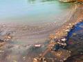 रसायनयुक्त सांडपाणी येरद गावच्या नदीपात्रात - Marathi News | Chemistry wastewater in the river bank of Yerad village | Latest raigad News at Lokmat.com