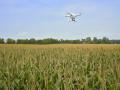 मशागतीची माळशेज पट्ट्यात लगबग; ड्रोनने होतेय फवारणी - Marathi News | Malshej farmers are using drone for kharif pest control | Latest agriculture News at Lokmat.com
