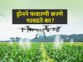 ड्रोनने फवारणी करताय, किती पैसे मोजावे लागतील? - Marathi News | How much does drone spraying cost? | Latest agriculture News at Lokmat.com