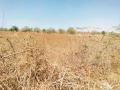 Drought In Marathawada : ‘ताई, तुमीबी बगा की खारं पाणी कसं लागतंय ते! - Marathi News | Drought in Marathawada : sister let taste salty water yourself ! | Latest chhatrapati-sambhajinagar News at Lokmat.com