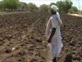 निवडणूक आटोपली; पण मिळाली नाही दुष्काळी मदत! - Marathi News | Election ended; But farmer not get help of drought! | Latest akola News at Lokmat.com