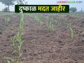 खरीप हंगाम-२०२३ करिता दुष्काळ जाहिर केलेल्या ४० तालुक्यांमधील शेतकऱ्यांना मिळणार निविष्ठा अनुदान - Marathi News | Agriculture to account holders in 40 talukas declared drought for Kharif season-2023 | Latest agriculture News at Lokmat.com