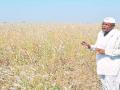 दुष्काळी पॅकेजची मदत दीड लाख शेतकऱ्यांच्या खात्यात - Marathi News | Drought package help to 1.5 lakh farmer's account | Latest buldhana News at Lokmat.com