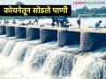 Koyna Dam सांगलीसाठी कोयनेतून ३००० क्युसेक्सचा विसर्ग; दुष्काळी शेतकऱ्यांना दिलासा - Marathi News | Discharge of 3000 cusecs from Koyne for Sangli; Relief to drought-stricken farmers | Latest agriculture News at Lokmat.com