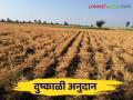 या जिल्ह्यातील ई-केवायसी पूर्ण न केलेल्या शेतकऱ्यांना मिळणार दुष्काळी अनुदान - Marathi News | Farmers who have not completed e-KYC in this district will get drought subsidy | Latest agriculture News at Lokmat.com
