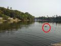 गोरेगाव येथील छोटा काश्मीरच्या तलावात एक जण बुडाला - Marathi News | One person lost in a small Kashmir lake in Goregaon | Latest mumbai News at Lokmat.com