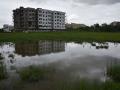 अकाेला शहरातील मोकळे भूखंड बनले तलाव - Marathi News | Rain water lodged in Open Spaces of Akola city | Latest akola News at Lokmat.com