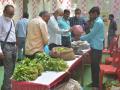 रानभाजी महोत्सवात ४५ हजार रुपयांच्या भाज्यांची विक्री - Marathi News | Sale of vegetables at Rs. 45 at Ranbhaji Mahotsav | Latest akola News at Lokmat.com