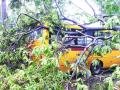 खोपोली, खालापूरला झाडे पडल्याने नुकसान - Marathi News | Damage due to falling trees at Khopoli, Khalapur | Latest raigad News at Lokmat.com