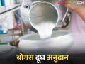 दूध अनुदान वाढीनंतर अचानक दूध संस्थाही वाढल्या; काय आहे प्रकरण? वाचा सविस्तर - Marathi News | After the increase in milk subsidy, milk institutions suddenly increased; What is the matter? Read in detail | Latest agriculture News at Lokmat.com