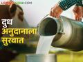 ११ जानेवारी ते १० मार्च या कालावधीतील दुध अनुदानाला मंजुरी - Marathi News | Approval of milk subsidy from January 11 to March 10 | Latest agriculture News at Lokmat.com