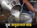 Dudh Anudan : दुध अनुदानात वाढ.. १ ऑक्टोबरपासून दूध संघांनी प्रति लिटर इतका दर देणे बंधनकारक - Marathi News | Dudh Anudan : Increase in milk subsidy From 1st October it is mandatory to pay the rate per liter to the milk unions | Latest agriculture News at Lokmat.com