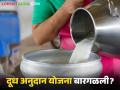 Dudh Anudan : राज्य सरकारची दूध अनुदान योजना चालू की बंद? उरलेलं अनुदान मिळणार का? - Marathi News | Dudh Anudan : State government milk subsidy scheme on or off? Will the remaining subsidy be available? | Latest agriculture News at Lokmat.com