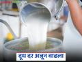 Dudh Dar Vadh : राज्यातील या दूध संघाने दूध खरेदी दरात महिन्याभरात केली तीन वेळा वाढ - Marathi News | Dudh Dar Vadh : This milk association in the state increased the milk purchase price three times in a month | Latest agriculture News at Lokmat.com