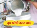 राज्यातील 'हा' दूध संघ गाय व म्हैस दूध खरेदी दरामध्ये करणार वाढ; किती रुपयांची होणार वाढ? - Marathi News | Gokul's decision to increase the purchase price of buffalo and cow milk; By how much will the increase be? | Latest agriculture News at Lokmat.com