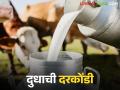 संकलन केंद्र चालकांची चंगळ; दूध उत्पादकांची मात्र यंदाही मर मर - Marathi News | Collection center operators are in good income; milk producers are in trouble this year too | Latest agriculture News at Lokmat.com