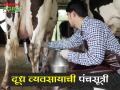 दूध व्यवसाय फायदेशीर करायचा आहे; मग हे वाचा - Marathi News | To make milk business profitable; Then read this | Latest agriculture News at Lokmat.com
