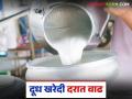 गाय व म्हैस दुधाच्या खरेदी दरात झाली वाढ; आता कोणत्या दुधाला किती मिळतोय दर? - Marathi News | Increase in purchase price of cow and buffalo milk; What price is being paid for which milk now? | Latest agriculture News at Lokmat.com