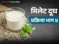 Millet Milk : मिलेट मिल्क तयार करताना कुठली उपउत्पादने तयार होतात? वाचा सविस्तर  - Marathi News | Latest News by-products are produced during production of millet milk Read in detail | Latest agriculture News at Lokmat.com