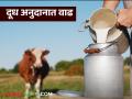 Milk Subsidy : दूध उत्पादकांना दिलासा, आता गायीच्या दुधाला सात रुपयांचे अनुदान, वाचा सविस्तर  - Marathi News | Latest news Milk Subsidy Relief to milk producers, now Rs 7 subsidy for cow's milk, read in detail  | Latest agriculture News at Lokmat.com