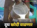 दुग्ध उत्पादकांना बाजारपेठ, तर सहकारी संस्थांकडून खरेदी, केंद्र सरकारकडून नवे पाऊल  - Marathi News | Latest News Market for milk producers, procurement from cooperatives central government decision | Latest agriculture News at Lokmat.com