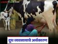 दुधाला मिळणारे अनुदान वर्षभरापासून बंद, दुधाचा जोडधंदा ठरतोय आतबट्ट्याचा, वाचा सविस्तर  - Marathi News | Latest News Milk subsidy stopped for year, milk business down market read in detail | Latest agriculture News at Lokmat.com