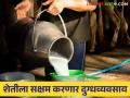 Dairy Business : दुग्धव्यवसायाला मिळणार गती ! - Marathi News | Dairy Business : Dairy business will gain momentum! | Latest agriculture News at Lokmat.com