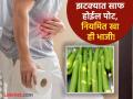 बद्धकोष्ठता आणि डायबिटीससारखे आजार होतील दूर, 'या' भाजीचं नियमित करा सेवन! - Marathi News | Bottle gourd cures incurable diseases like constipation and diabetes | Latest food News at Lokmat.com