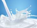 अकोला जिल्ह्यात दूधपूर्णा नावाने मिळणार दूध! - Marathi News | Milk will be available in Akola district under the name Milkpurna! | Latest akola News at Lokmat.com