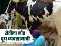 Youth Milk Business : गोंदियाच्या तरुणांनी शेती, दुग्ध व्यवसायातून गावातच घडवलं करिअर, वाचा सविस्तर - Marathi News | Latest News Milk Business Career in village through agriculture, dairy business by gondiya youth see details | Latest agriculture News at Lokmat.com
