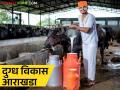Agriculture News : नंदुरबारच्या डेअरीला मिळणार नवसंजीवनी, राष्ट्रीय डेअरी विकास बोर्डाचा निर्णय  - Marathi News | Nandurbar's dairy will get a revival, National Dairy Development Board's decision | Latest agriculture News at Lokmat.com