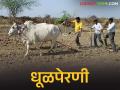 Dhulaperani : धुळपेरणीचा मुहूर्त! मृग नक्षत्रात शेतात कपाशीची लगबग वाचा सविस्तर - Marathi News | latest news Dhulaperani: The time for sowing of Dhulaperani! Read the details of the cotton sowing in the fields in the Mrig Nakshatra | Latest agriculture News at Lokmat.com