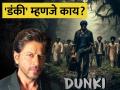 Dunki Movie: शाहरुखचा 'डंकी' येतोय, पण सिनेमाच्या नावाचा अर्थ नक्की आहे तरी काय? - Marathi News | Shahrukh Khan Dunki Movie teaser released do you know what is the meaning of dunki ? | Latest filmy Photos at Lokmat.com